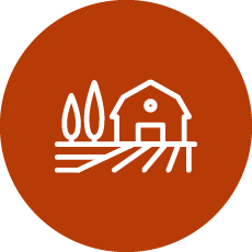 Free-range and barn-laid systems