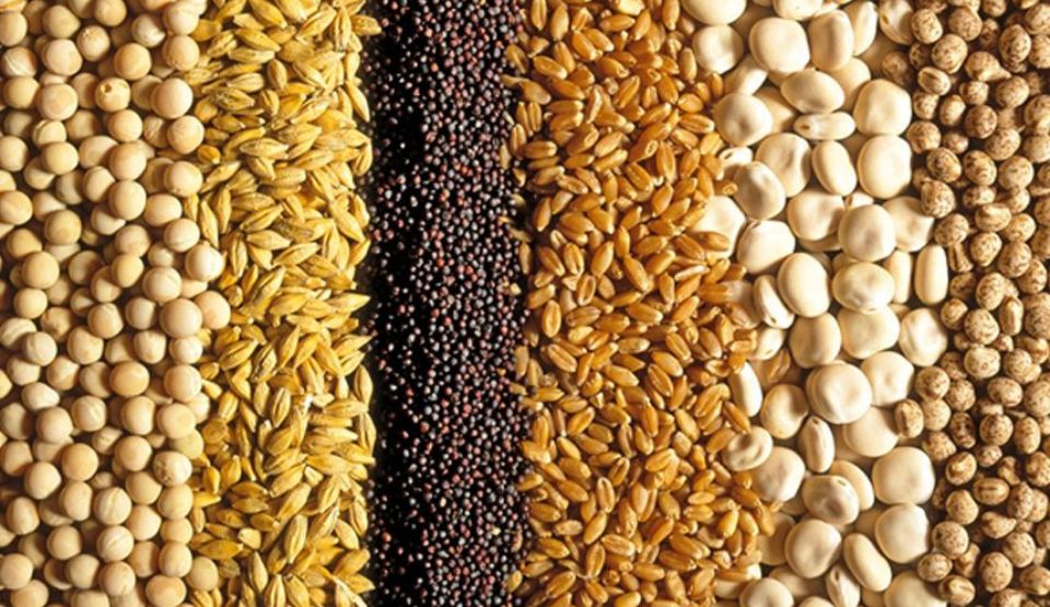 Feed Mills